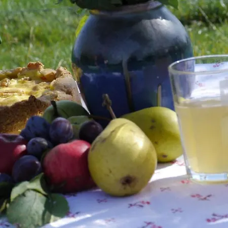 Apartment Biohof Unterstadl Eben