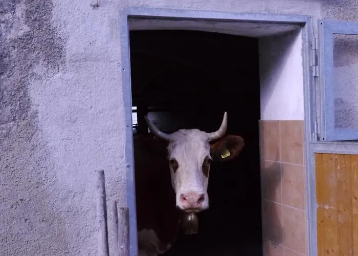 Biohof Unterstadl * Eben